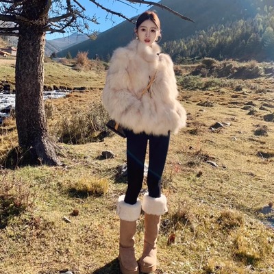 “首尔月光”仿皮草外套女冬季新款短款仿狐狸毛立领皮毛毛绒大衣
