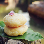 雪蛤皂 琉璃苣油羊奶皂 芳疗油脂皂 阿甘油皂 手工皂 冷制皂