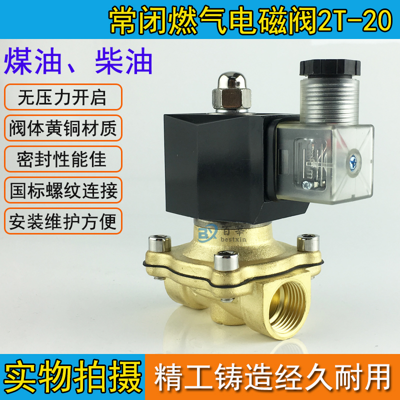 2T-20 6分 天然气 煤气 专用 电磁阀 常闭 AC220V DC24V 五金/工具 其他阀门 原图主图