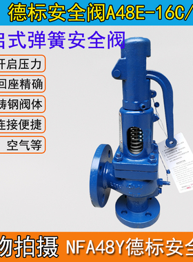 NFA48Y/E-16C/25C德标弹簧式全启式铸钢锅炉安全阀带扳手DN25DN50
