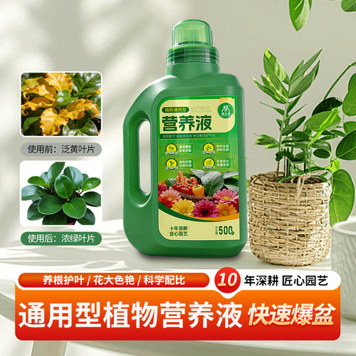 植物营养液发财树水培盆栽通用