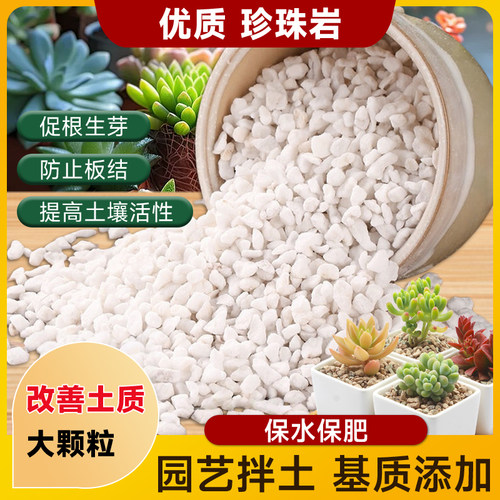园艺养护专用珍珠岩颗粒颗粒养花种草过筛无粉末透水透气防止烂根