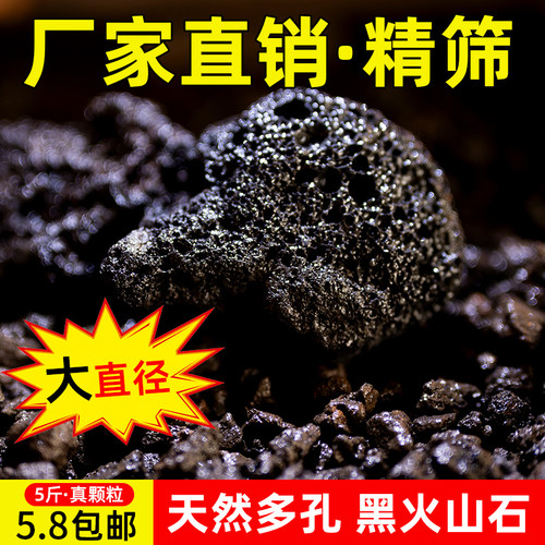 全网比质黑色火山石花卉水族通用