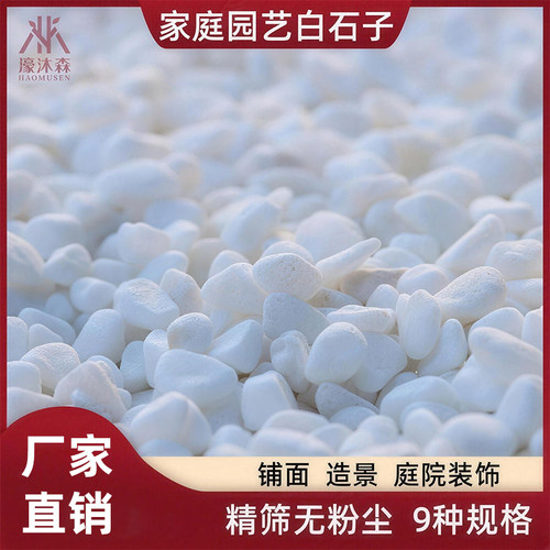 天然鹅卵石白色石子壕沐森