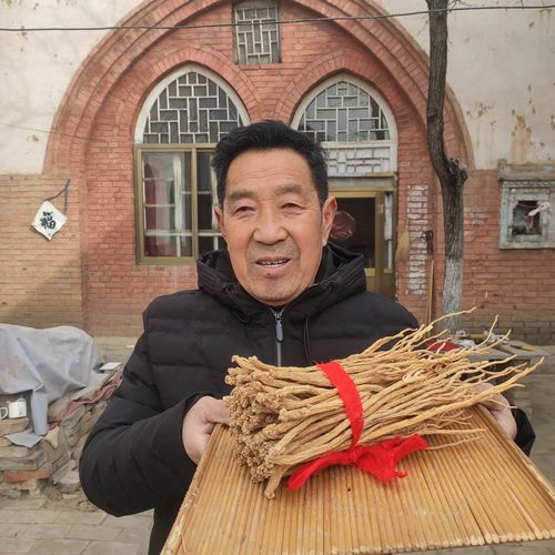 山西党参500g克包邮道地无硫原生态平顺潞党参中大条当参农家产品