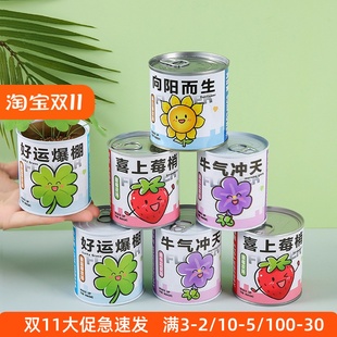 创意易拉罐儿童种植花卉迷你盆栽罐头绿植盲盒室内桌面