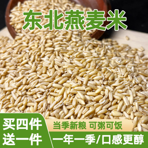 东北燕麦米新米杂粮粗粮燕麦仁米
