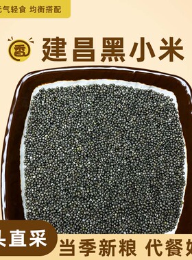 黑小米当季新米黑色小米粥五谷杂粮粗粮米黑米谷子煲汤煮粥早餐粥