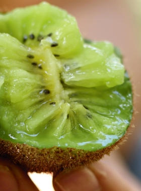 2025季沙沙甜甜甜香弥来啦，晚采2个月只为遇见更好的你！