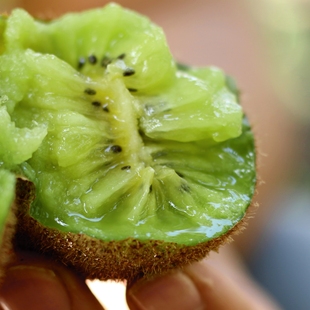 你 晚采2个月只为遇见更好 沙沙甜甜甜香弥来啦 2025季