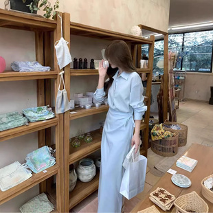 小众设计显瘦气质POLO长裙 新款 高级感假两件蓝色衬衫 连衣裙女春季