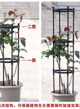 拼接式植物月季爬藤架花架户外阳台铁线莲攀爬架花柱支撑杆花支架