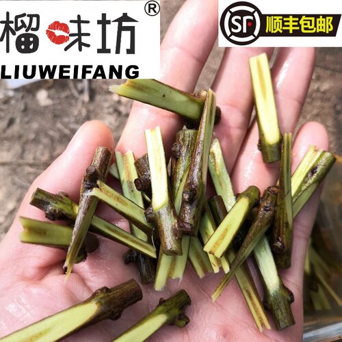 墨籽®慕乐软籽石榴接穗扦插条榴玛丽斯®石榴树苗嫁接枝条石榴接穗