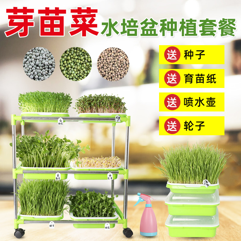 芽苗菜种植盘育苗盘无土栽培豆苗水培蔬菜托盘生豆芽神器家用种孑