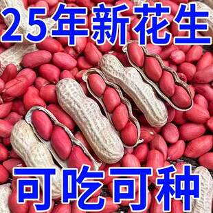 带壳红皮花生2025新货农家新鲜四粒红花生米自然晒干种子生的新货