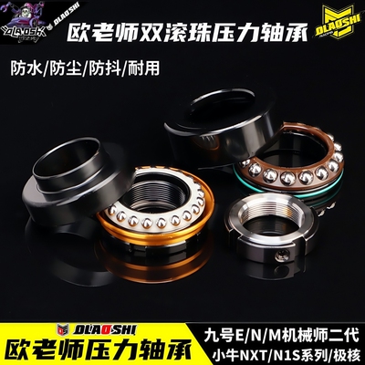 欧老师压力轴承改装九号小牛极核