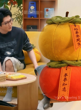 毛雪汪毛不易同款抱枕可爱柿子毛绒玩具好事要发生家居饰品摆件潮