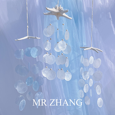 ins卧室送女生闺蜜贝壳风铃挂饰