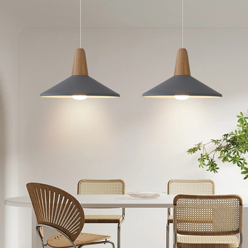 北欧创意个性餐饮店铺单头吊灯