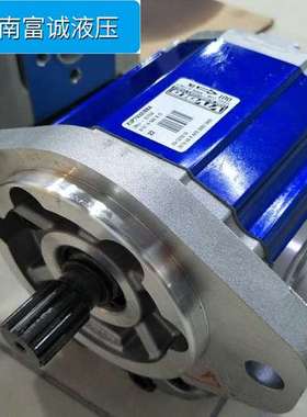 意大利VIVOLO泵液压站油泵XV-3P/38cc原装正品Vivoil高压齿轮泵