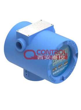 雷奥尼克变送器 RHE45DDOP1NNNN科氏力质量流量计 江苏技术支持