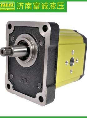 意大利VIVOLO铸铁齿轮泵GV2P-D/C G2P5501EPOA 液压油泵VIVOIL惠