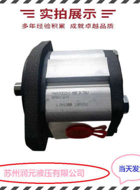法国HPI齿轮泵M2BAN1004CL20C01N 低噪音 供应全系列