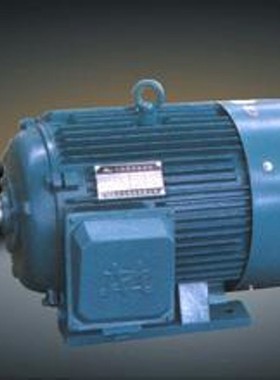 供应.LEESON电机LM29658可以提供产品资料