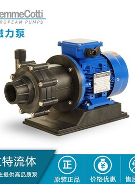 Gemmecotti磁力泵 卸酸卸碱泵 水处理泵 有机溶剂泵 进口滑片泵