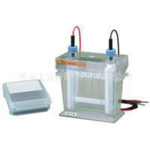迷你光盘电泳槽 6540B
