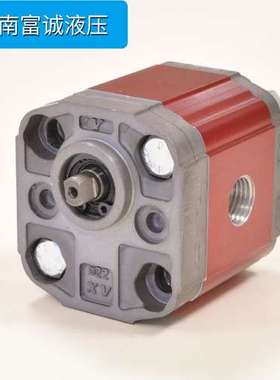 维沃油泵X0R0910BZZE维沃原装小排量齿轮泵VIVIVO外泄双向齿轮泵