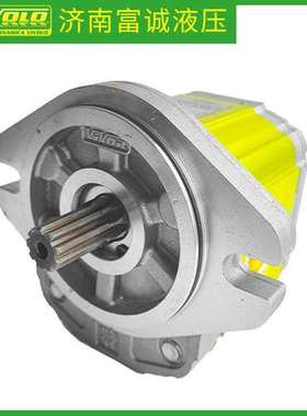 意大利VIVOLO齿轮泵XV2P-D/CX2P4752BLMA平键轴Vivoil液压泵惠供
