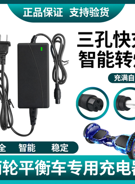 36V42V1A2A双轮电动儿童平衡车充电器三孔头通用款锂电池组电源线