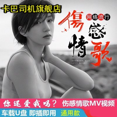 无失真高音质歌曲车用串