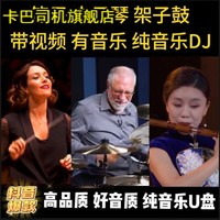 抖音同款笛子电子琴架子鼓演奏纯音乐DJ优盘经典劲爆纯音乐U盘