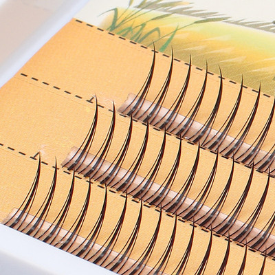 professional makeup mink eyelashes personal eyelash 假睫毛