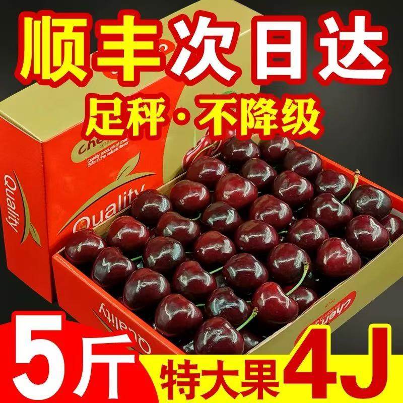 智利樱桃5斤礼盒装进口