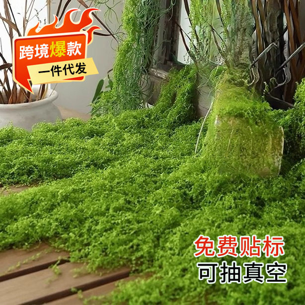 仿真苔藓假青苔仿生草皮造景丝线仿真植被假草皮草坪花盆铺面跨境