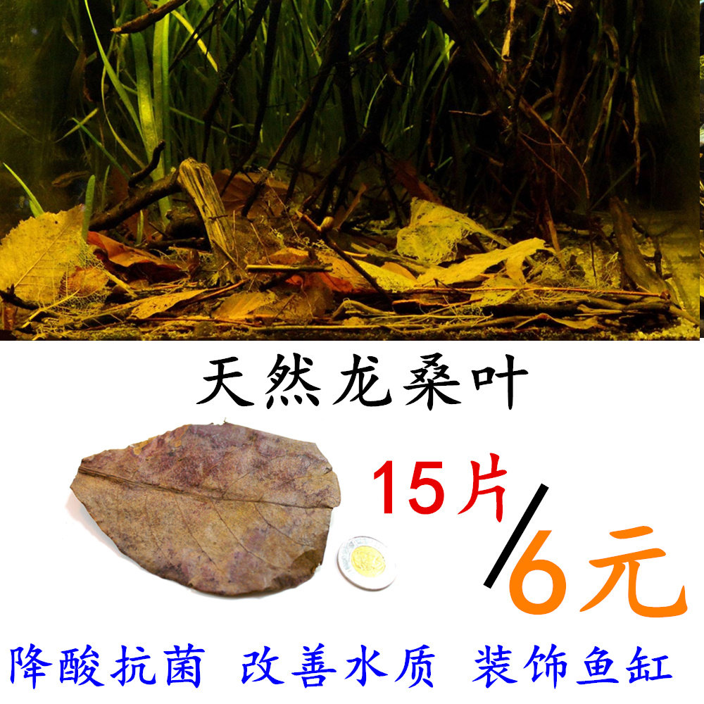 Terminalia leaf Lazy man Water PH Soft water stable Improve Water Quality Aquarium Betta Tropical Fish South Americain the Pet/Pet food and supplies , Aqua World , PH Regulator category - from Buy2taobao.com to provide professional Taobao agent buy service