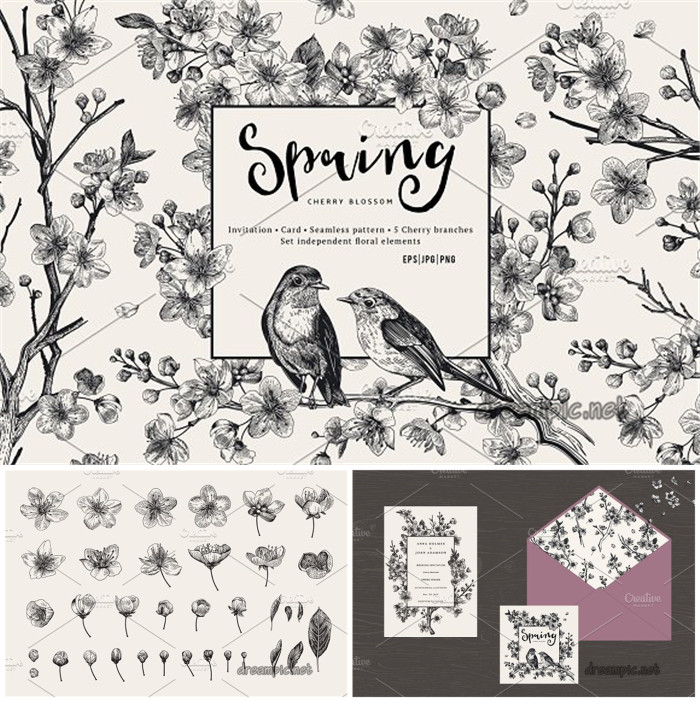 A0333矢量AI设计素材 复古线稿樱花树枝鸟类请柬邀请函边框+png
