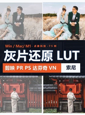 索尼灰片还原LUT预设HLG/slog2/slog3视频图片709剪映PR通用log