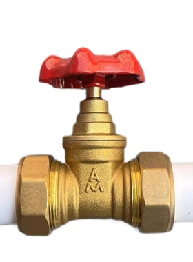 埃美柯PPR闸阀双活接de20热熔接口25阀门32加厚ppr的