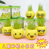 Премия Дня детей -Участник обучения в детском саду