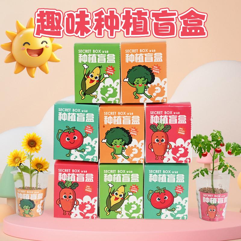幼儿园全班DIY手工礼物儿童创意种植盆栽玩具小礼品学生盲盒奖品