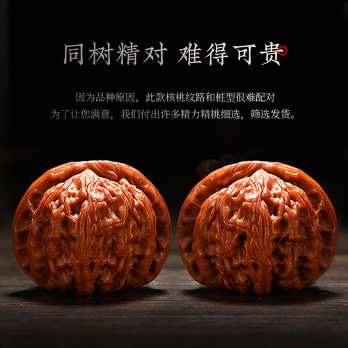 闷尖白狮子头文玩核桃收藏价值高