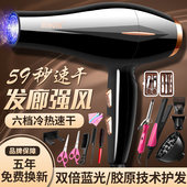 德国电吹风机家用5000理发店吃飞3000大功率负离子护发廊大风力
