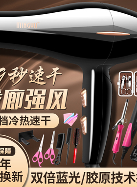 德国电吹风机家用5000理发店吃飞3000大功率负离子护发廊大风力