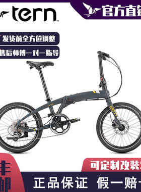tern燕鸥 R10折叠车VEGRE R10折叠自行车10速燕欧R10铝合金20寸