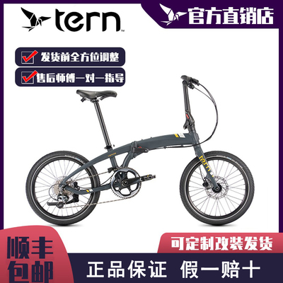 tern燕鸥 R10折叠车VEGRE R10折叠自行车10速燕欧R10铝合金20寸