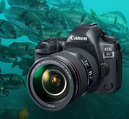 5d